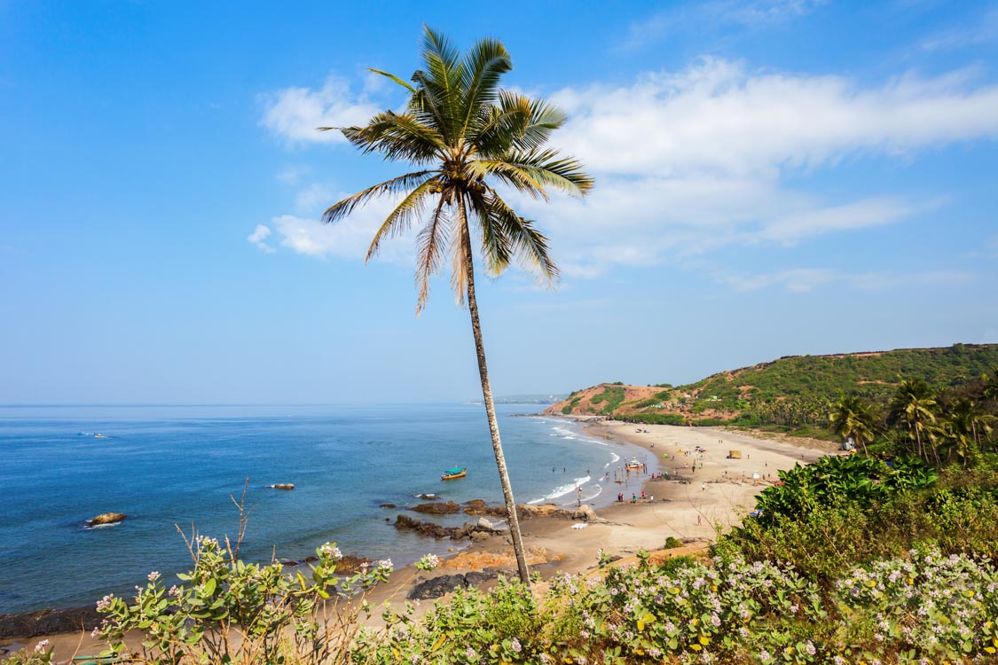 https://img.avianexperiences.com/attraction/dfcf64be-e4b3-492c-bf04-846cc751c390
